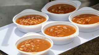 Velika prvosvibanjska fešta na Viru Velika prvosvibanjska fešta na Viru