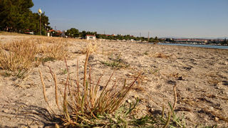 Jutarnji đir Puta Bajlom, foto: Iva Perinčić