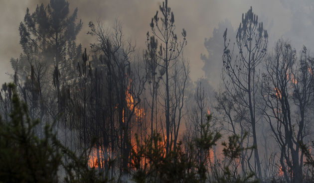 Požar u Portugalu