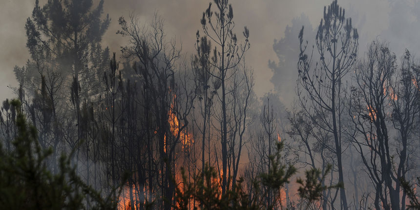Požar u Portugalu