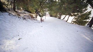 Đir po Punti Bajlo, 7. veljače 2012. (foto:Saša Čuka)