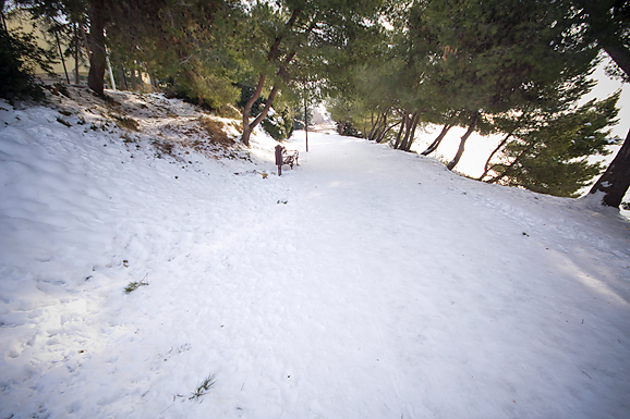 Đir po Punti Bajlo, 7. veljače 2012. (foto:Saša Čuka)