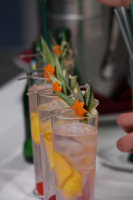 1. Zupanijski junior barmen kup u hotelu Kolovare, Foto: Ivan Stipcevic