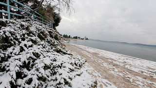 Snijeg u Bibinjama 3. veljače 2012, Foto: Leo Banić