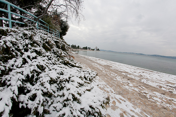 Snijeg u Bibinjama 3. veljače 2012, Foto: Leo Banić