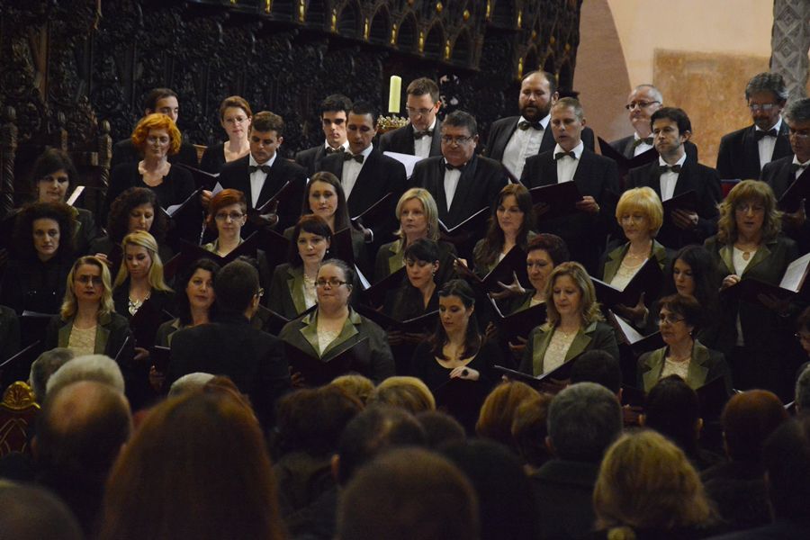 Obljetnički koncert HPGD Zoranić u katedrali, foto: I. Perinčić