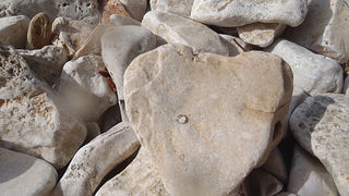 OLYMPUS DIGITAL CAMERA OLYMPUS DIGITAL CAMERA