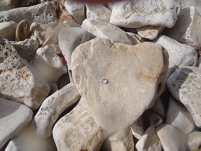 OLYMPUS DIGITAL CAMERA OLYMPUS DIGITAL CAMERA