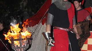 Zvonimirovi dani, Knin 28. i 29. lipnja 2008.