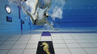 SC Višnjik: Podvodna izložba ronilačkog kluba “Roko” SC Višnjik: Podvodna izložba ronilačkog kluba “Roko”