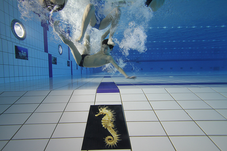 SC Višnjik: Podvodna izložba ronilačkog kluba “Roko” SC Višnjik: Podvodna izložba ronilačkog kluba “Roko”