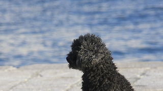 Bablje ljeto u Zadru 23. rujna 2009.