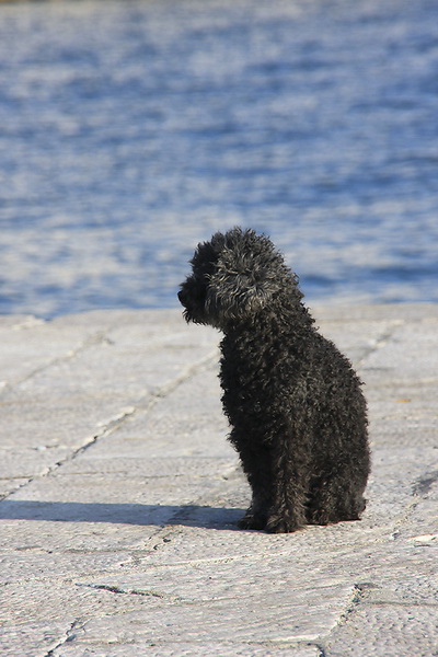 Bablje ljeto u Zadru 23. rujna 2009.