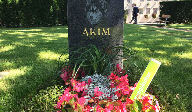 Prvo zajedničko groblje za ljude i životinje u Beču