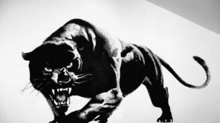 Dino Dević: Zidni murali