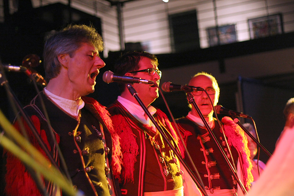 Humanitarni koncert  “Trideseta mi je” (Foto:Saša Čuka)