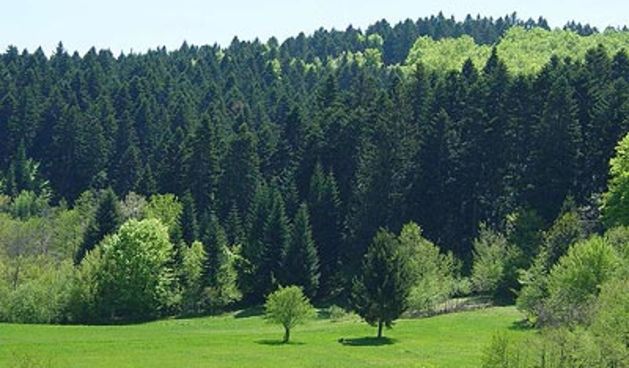 Gorski kotar, foto: klubmamuti.wordpress.com