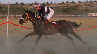 Polača: 14. Međunarodne konjičke utrke “Oluja 95”, Foto: Leo Banić Polača: 14. Međunarodne konjičke utrke “Oluja 95”, Foto: Leo Banić