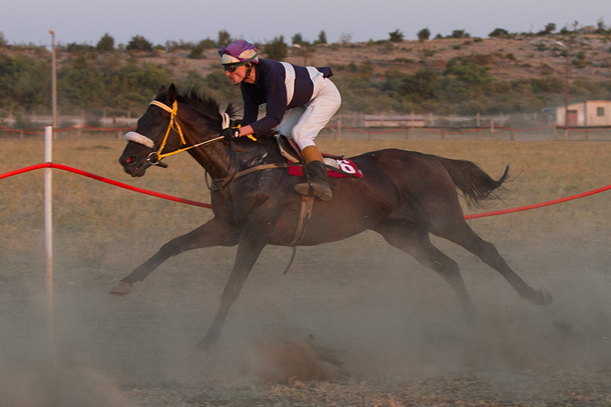Polača: 14. Međunarodne konjičke utrke “Oluja 95”, Foto: Leo Banić Polača: 14. Međunarodne konjičke utrke “Oluja 95”, Foto: Leo Banić