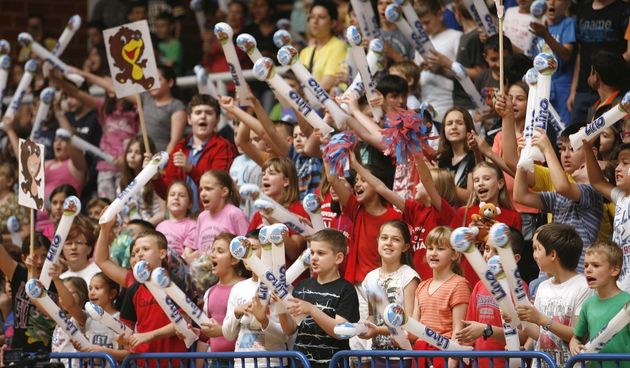 “Lino višebojac”