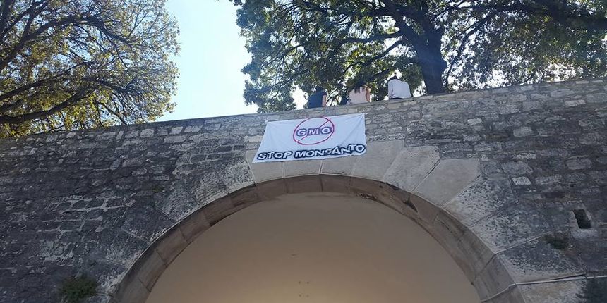 Transparent na Gradskim vratima: Stop Monsanto! Transparent na Gradskim vratima: Stop Monsanto!