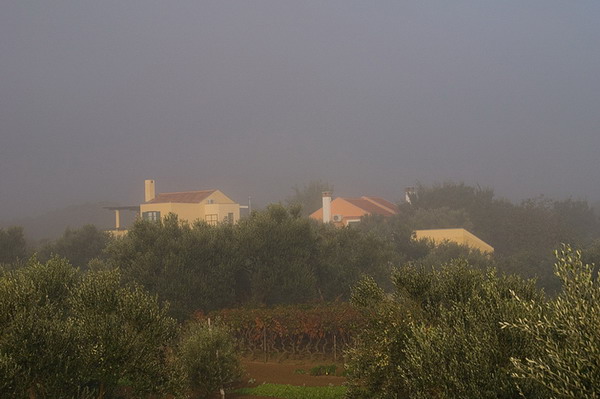 Krajolici zadarskog zaledja