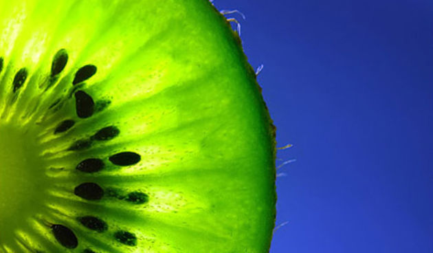 Kivi, foto: asia.cnet.com