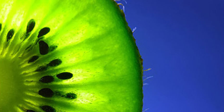 Kivi, foto: asia.cnet.com Kivi, foto: asia.cnet.com