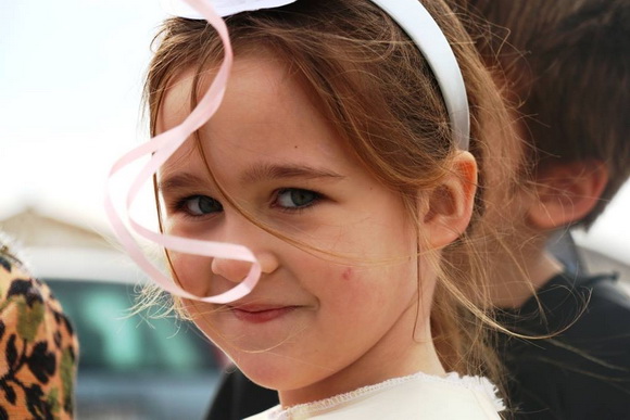 Virski karnevalić 2016. Virski karnevalić 2016.