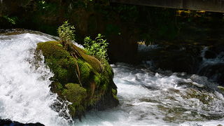 Đir do NP Krka. foto-Iva Perincic