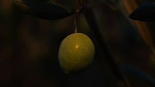 Iške crtice u objektivu Leonarda Kvarantana