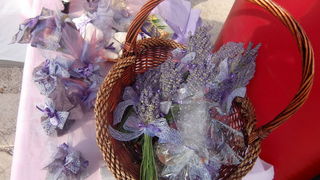 “Kupujmo Hrvatsko” 24. lipnja na Rivi “Kupujmo Hrvatsko” 24. lipnja na Rivi