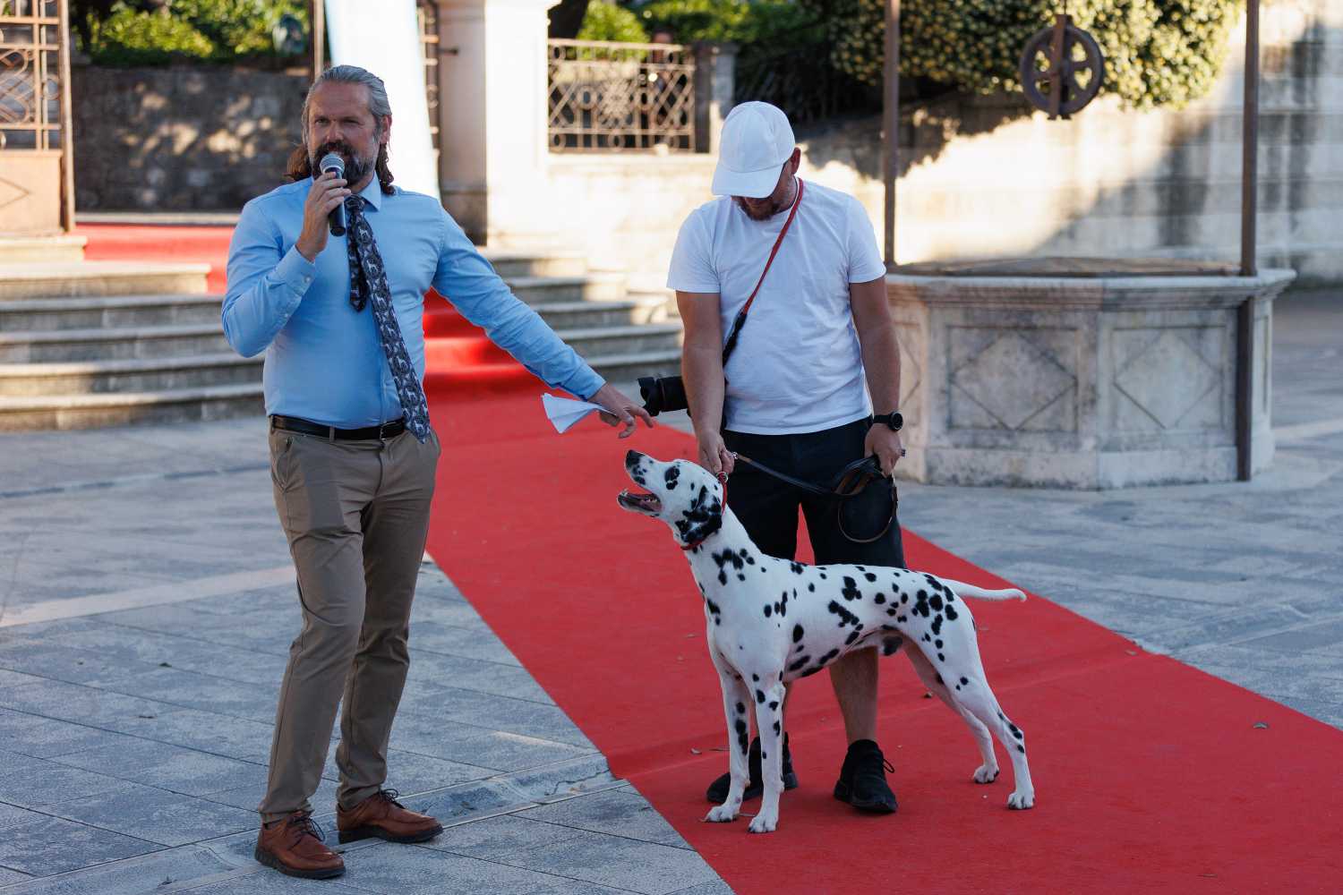 Red Carpet Dalmatian Walk @Trg pet bunara Red Carpet Dalmatian Walk @Trg pet bunara