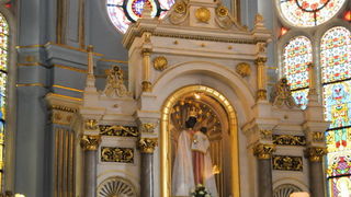 Hodocasce zupljana zupe Bl. Alojzija Stepinca u Krasic, Mariju Bistricu i zagreb, Foto: Darko Dilber