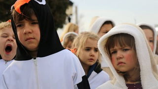 Virski karnevalić 2016. Virski karnevalić 2016.