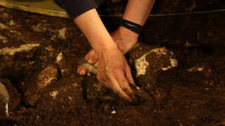 Zadar, 060712.
Predstavljanje novih arheoloskih nalaza iz spilje neandertalaca iz srednjeg paleolitika. Spilja se nalazi u kanjonu ispod utvrde Klicevica u blizini Benkovca. Arheolozi su pronasli ostatke alata kojima su se sluzili neandertalci prije 40 ti