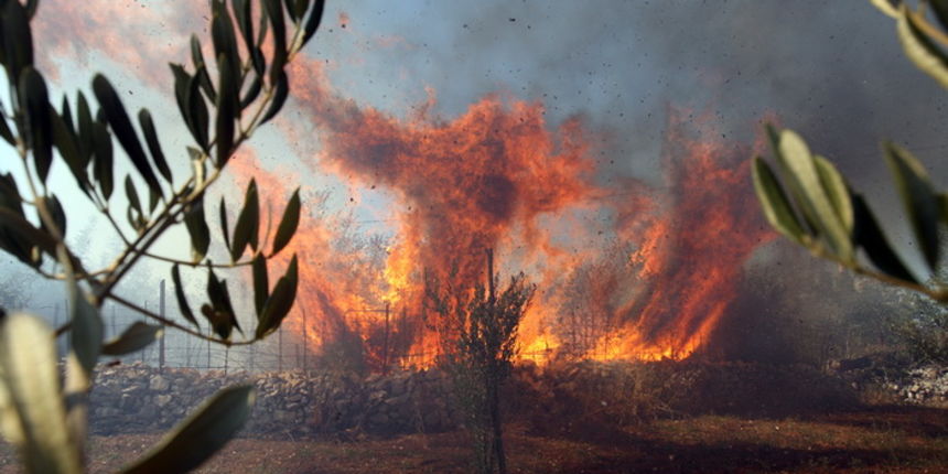 Zadar, 180712.
Pozar u Smokovicu ponovno je aktivan.
Na terenu su djelatnici JVP Zadar, a pozvane su i zracne snage. Vatrogasci su branili kuce od pozara koji je zahvatio i neka dvorista.
Na fotografiji: detalj sa mjesta pozara.
Foto: Jure Miskovic / CR Zadar, 180712.
Pozar u Smokovicu ponovno je aktivan.
Na terenu su djelatnici JVP Zadar, a pozvane su i zracne snage. Vatrogasci su branili kuce od pozara koji je zahvatio i neka dvorista.
Na fotografiji: detalj sa mjesta pozara.
Foto: Jure Miskovic / CR