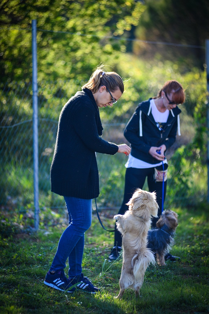 Kinološka udruga Malinois