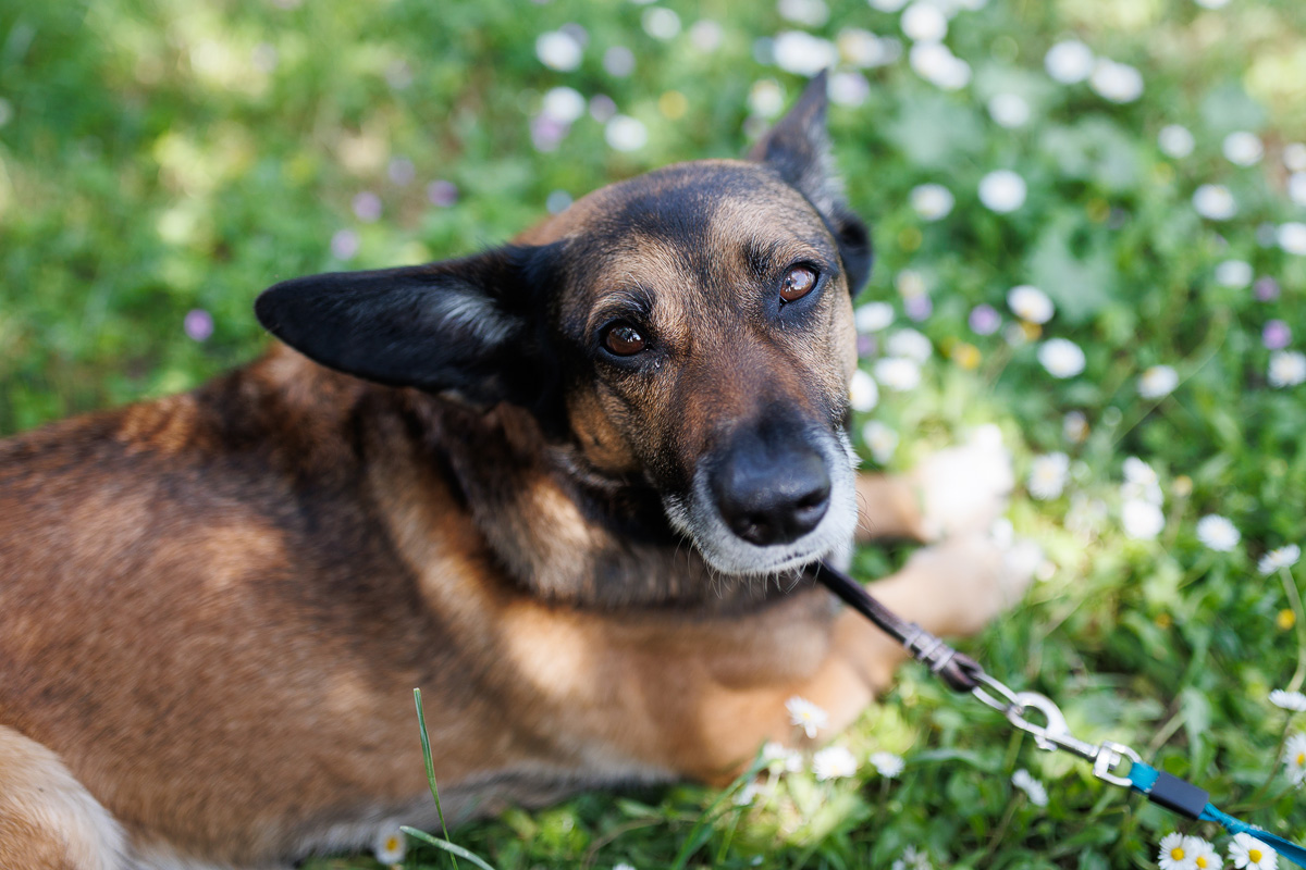 Materine užance @ kamp Crkvine, Vransko jezero Materine užance @ kamp Crkvine, Vransko jezero