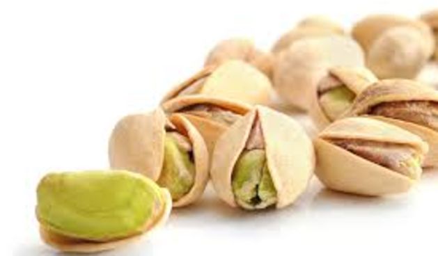 Pistacio, foto:seedguides.info