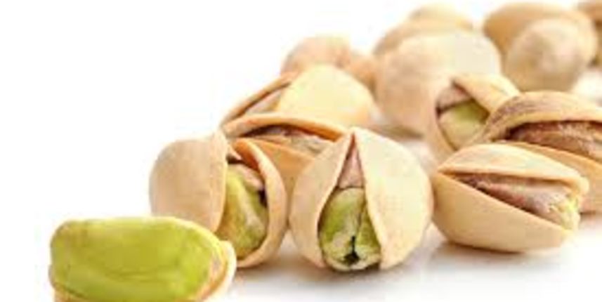 Pistacio, foto:seedguides.info