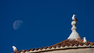 Đir po gradu 28. listopada 2010. (foto:Saša Čuka)