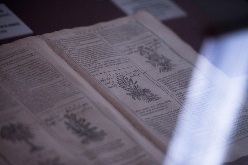 Izlet u NP Krka: Skradin, Skradinski buk, Visovac, foto: Darko Belančić