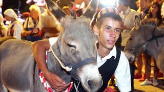 U Tribunju su održane 49. po redu magareće trke na kojima je sudjelovalo 12 jahača, a pobjedu je odnio Roko Popov na magarcu Renault 4. Photo: Duško Jaramaz/PIXSELL U Tribunju su održane 49. po redu magareće trke na kojima je sudjelovalo 12 jahača, a pobjedu je odnio Roko Popov na magarcu Renault 4. Photo: Duško Jaramaz/PIXSELL