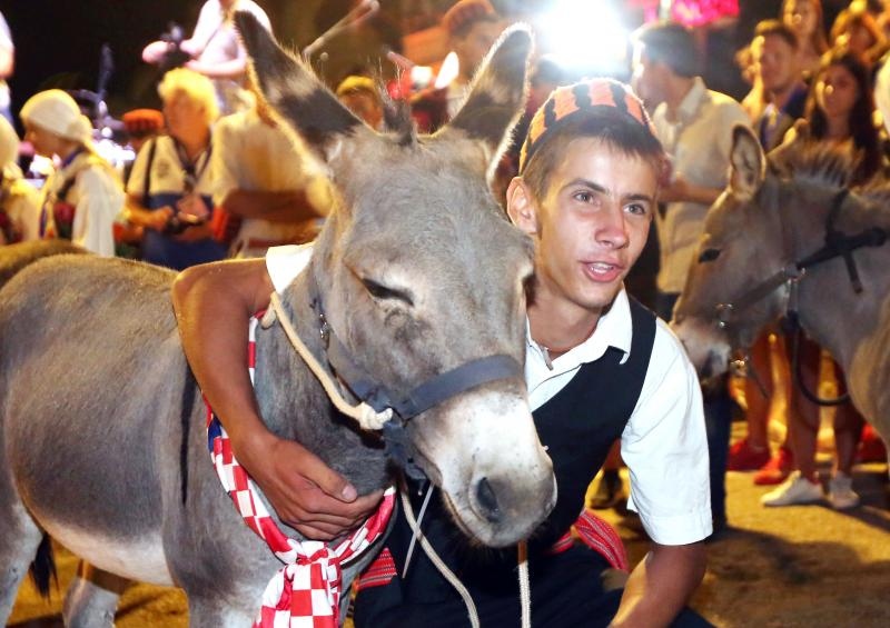 U Tribunju su održane 49. po redu magareće trke na kojima je sudjelovalo 12 jahača, a pobjedu je odnio Roko Popov na magarcu Renault 4. Photo: Duško Jaramaz/PIXSELL U Tribunju su održane 49. po redu magareće trke na kojima je sudjelovalo 12 jahača, a pobjedu je odnio Roko Popov na magarcu Renault 4. Photo: Duško Jaramaz/PIXSELL
