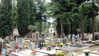 Usprkos jakom jugu gradsko groblje u Zadru danas je zasjalo toplim bojama cvijeca i svijeca kojima su gradjani ukrasili posljednja pocivalista svojih najdrazih, Foto: Mladen Malik Usprkos jakom jugu gradsko groblje u Zadru danas je zasjalo toplim bojama cvijeca i svijeca kojima su gradjani ukrasili posljednja pocivalista svojih najdrazih, Foto: Mladen Malik