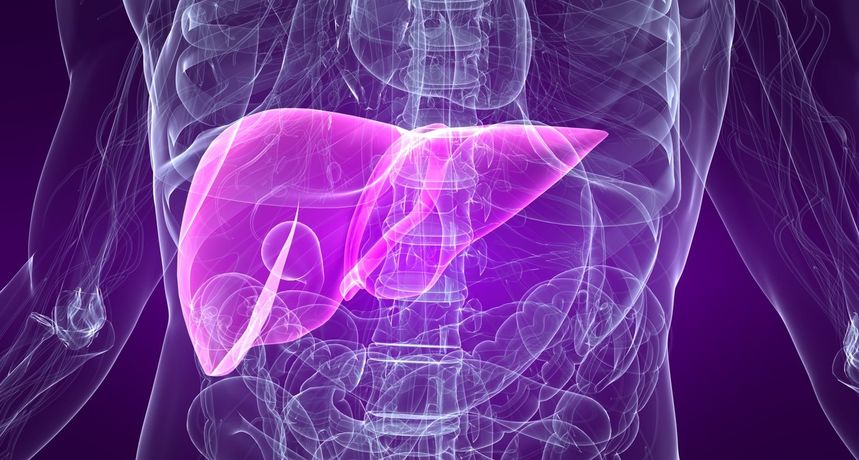 Ako osjetite bol u trbuhu, to bi mogla biti vaša jetra. Bol koja se javlja svakodnevno, nakon određenih namirnica ili čak nakon noći pune alkohola. Ako osjetite bol u trbuhu, to bi mogla biti vaša jetra. Bol koja se javlja svakodnevno, nakon određenih namirnica ili čak nakon noći pune alkohola.