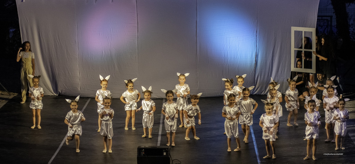 Gesta obilježila 20 godina djelovanja Gesta obilježila 20 godina djelovanja