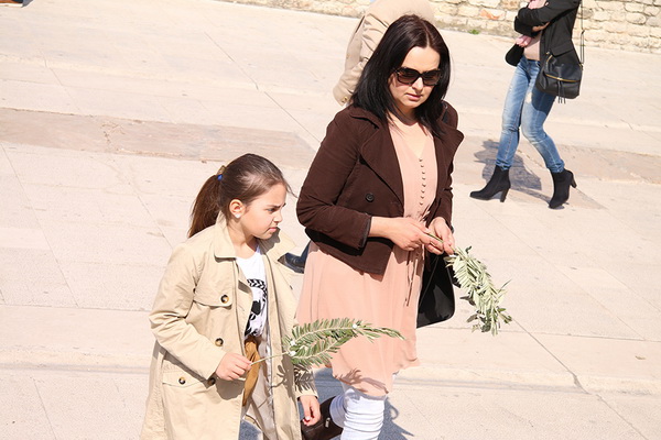 Cvjetnica 20. ožujka 2016: Nakon blagoslova maslinovih grančica, nadbisku Želimir Puljić predvodio je procesiju do katedrale sv. Stošije gdje je služio misno slavlje na kojem se pjevala Muka našeg Gospodina Cvjetnica 20. ožujka 2016: Nakon blagoslova maslinovih grančica, nadbisku Želimir Puljić predvodio je procesiju do katedrale sv. Stošije gdje je služio misno slavlje na kojem se pjevala Muka našeg Gospodina