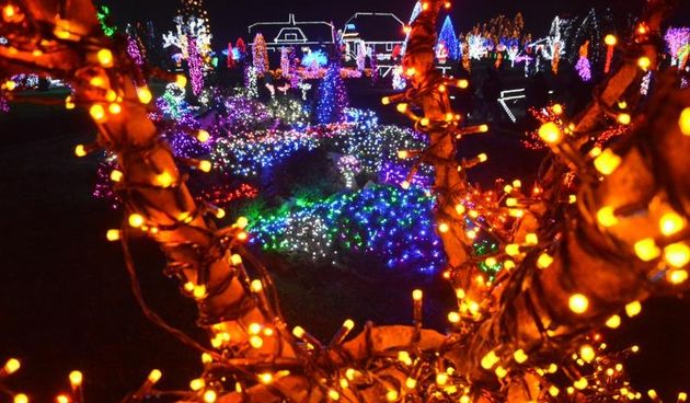 Božićna priča obitelji Salaj s rekordnih 1,88 milijuna lampica. Foto: Damir Špehar/PIXSELL